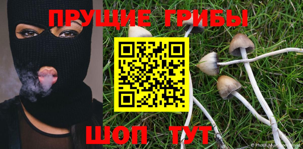 Алейск  даркнет сайт  Вход с VPN  Галлюциногенные грибы GOLDEN TEACHER 